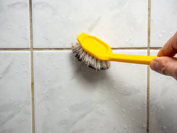 Best Mold Testing  in Stacy, MN