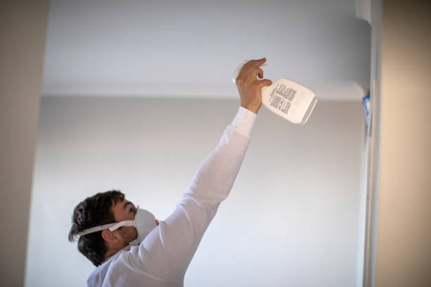 Best Certified Mold Removal  in Stacy, MN