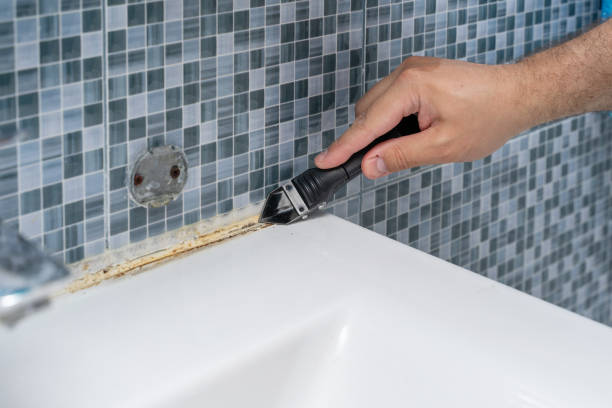 Best Local Mold Removal Service  in Stacy, MN