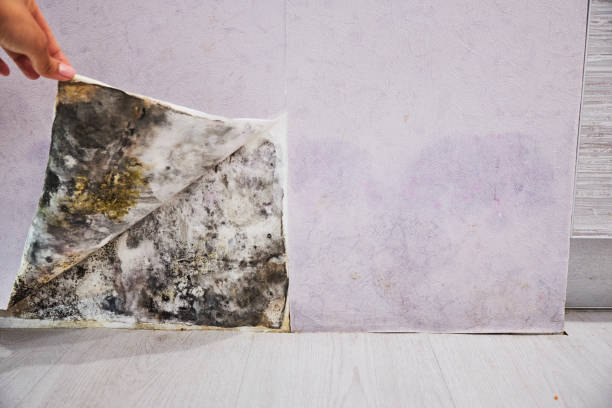 Water Damage Restoration in Stacy, MN